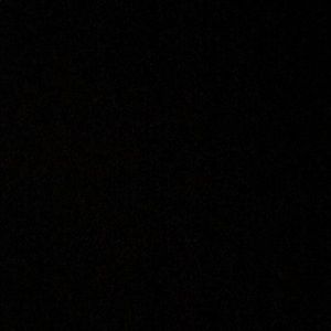 Meet your Posher, Jayla